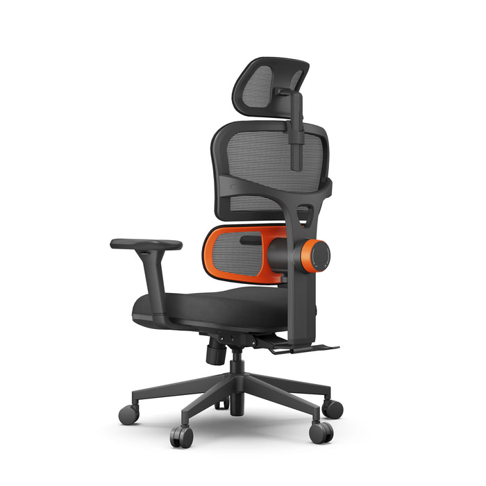 Newtral Ergonomic Home Office Chair with Auto-Following Lumbar Support