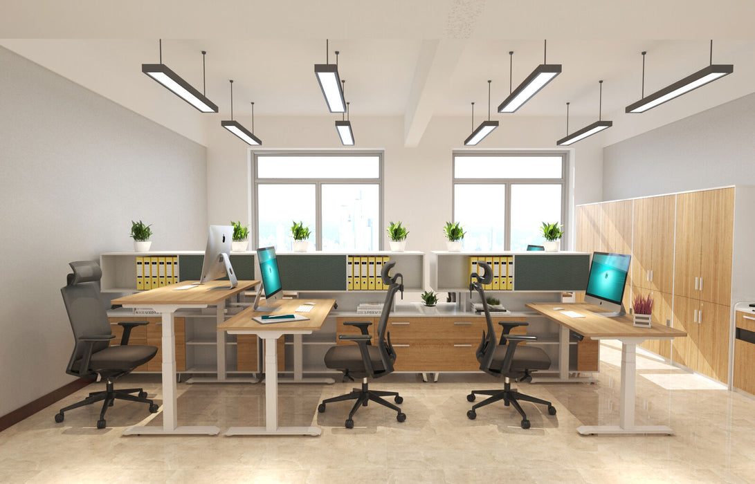 Frame only  Dual Motor Electric Sit/Stand Desk Flexi-Desk HA-223